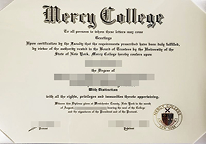 Mercy College degree-1