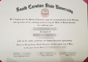 SCSU diploma-1