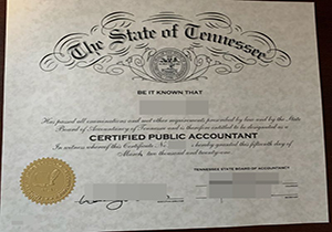 Tennessee CPA certificate-1