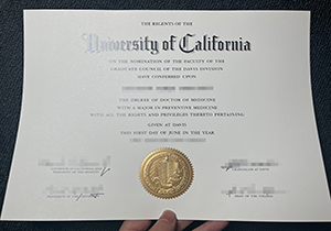 UCD diploma-1
