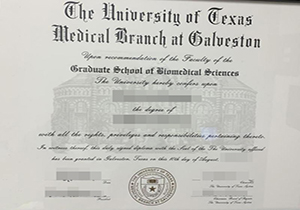 UTMB degree-1