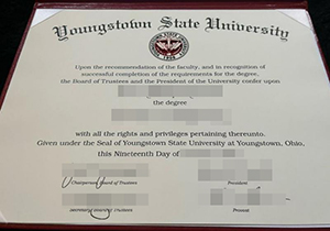 YSU degree-1