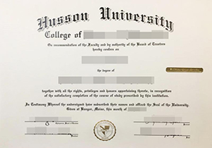 Husson University degree-1