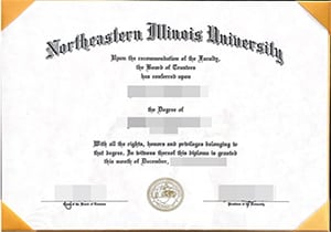 Northeastern Illinois University degree-1