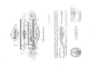 Davidson College diploma-1