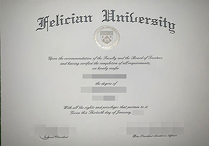 Felician University degree-1