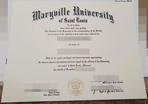 Maryville University of St. Louis degree-1
