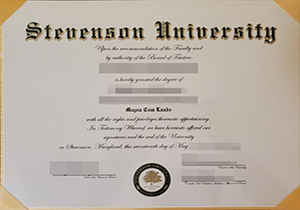 Stevenson University degree-1