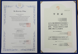 The University of Tokyo diploma-1