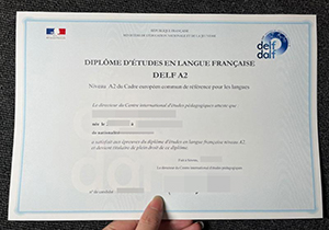 DELF A2 certificate-1