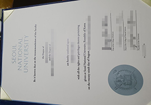 Seoul National University diploma copy