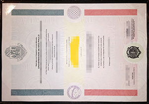 Universidade de São Paulo diploma copy