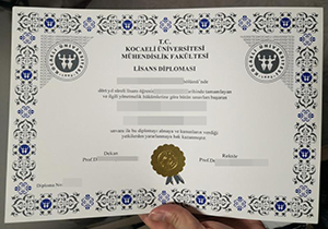 Kocaeli University diploma copy