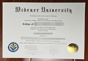 Widener University degree copy