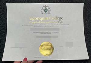 Algonquin College degree copy