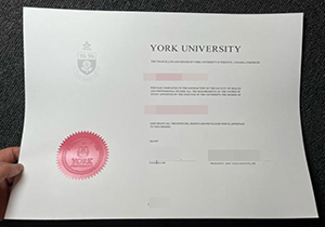 York University bachelor degree copy