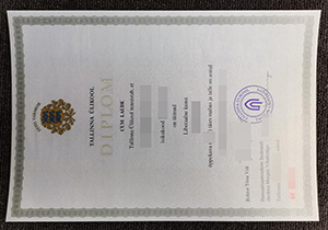 Tallinn University diploma-1