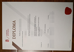 University of Groningen diploma copy