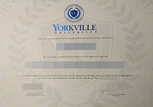 Yorkville University degree-1