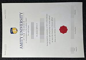 Amity University diploma-1