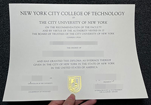 City Tech CUNY degree-1