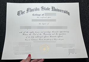 FSU degree-1