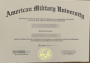 AMU diploma-1