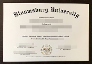 Bloomsburg University diploma-1