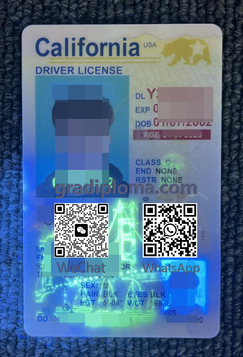 California Driver License