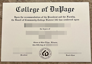 College of DuPage degree-1