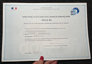 DELF B2 Certificate-1