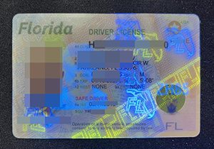 Florida ID-1