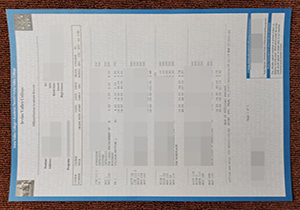 Irvine Valley College transcript-1