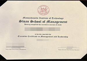 MIT Sloan School of Management degree-1