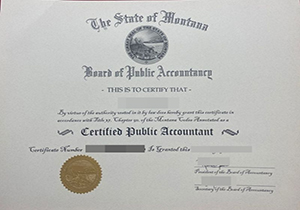 Montana CPA certificate-1