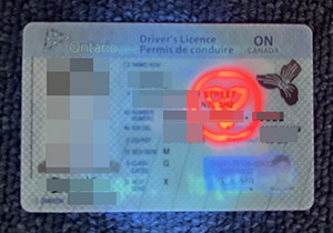 Ontario ID-1