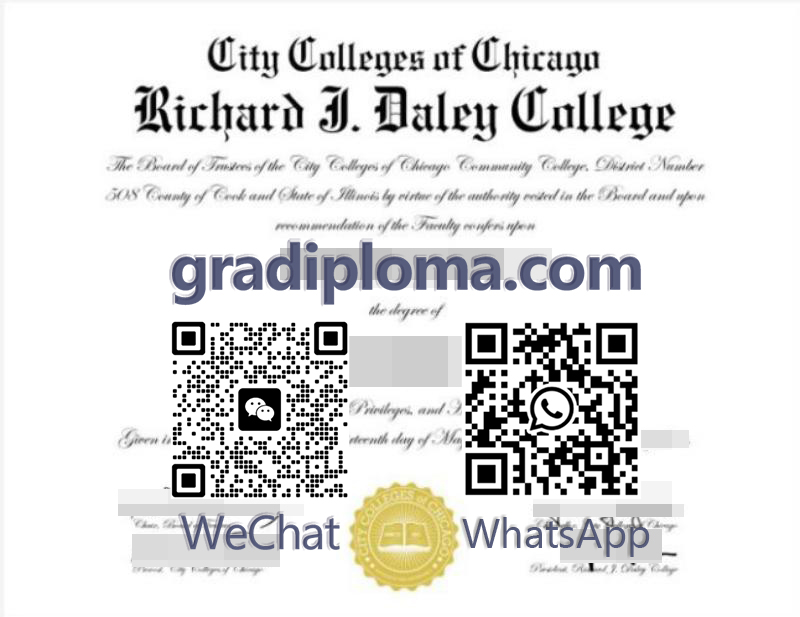 Richard J. Daley College degree