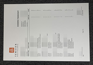 Temasek Polytechnic transcript-1