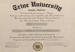 Trine University degree-1