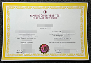 Yakın Doğu Üniversitesi diploma-1