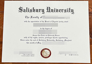 Salisbury University degree-1