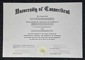 University of Connecticut diploma-1