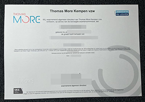 Thomas More Kempen vzw diploma copy