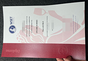 WSET diploma copy