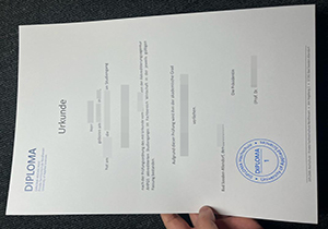 DIPLOMA Hochschule Urkunde copy