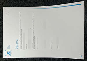 LOI Certificate-1