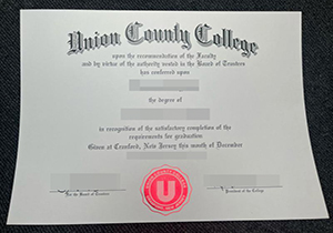 Union County College diploma copy