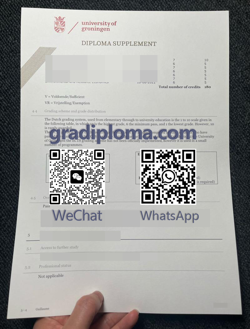 University of Groningen diploma supplement