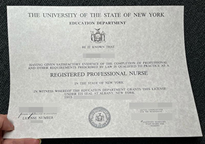 Registered Professional Nurse Certificate-1